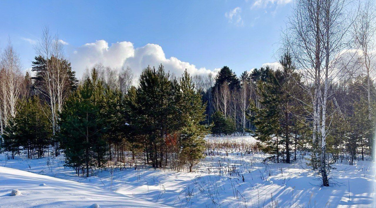 земля р-н Тюменский с Салаирка фото 10