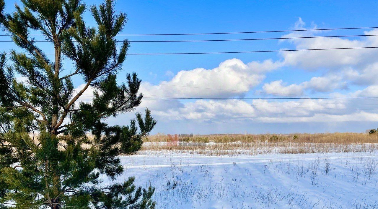 земля р-н Тюменский с Салаирка фото 7