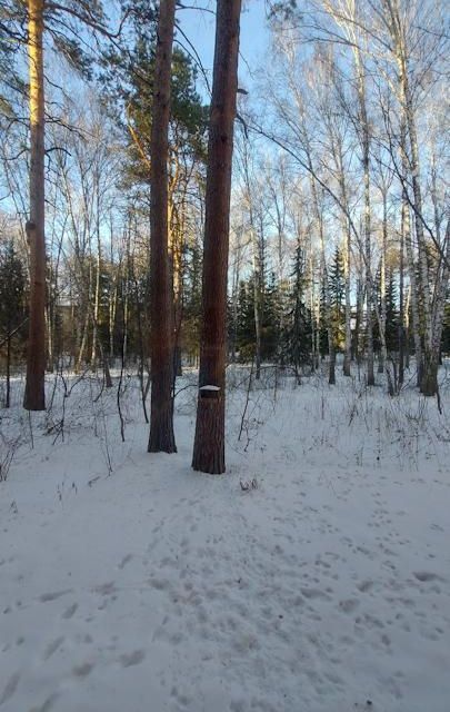 квартира г Новосибирск р-н Советский пр-кт Морской 60 Новосибирск городской округ фото 5