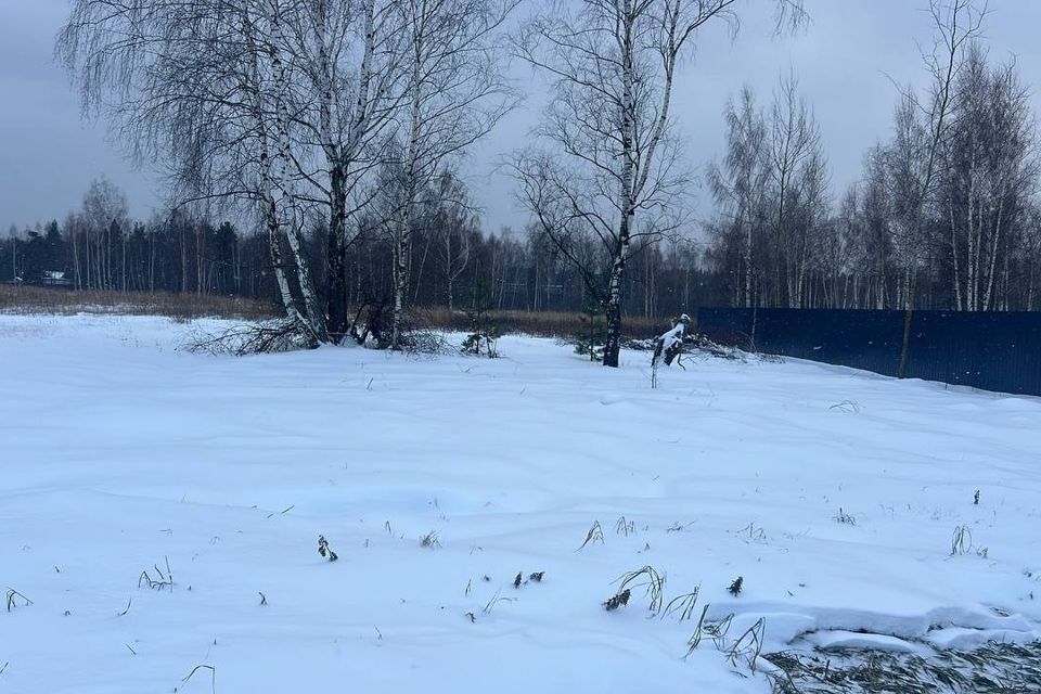 земля городской округ Орехово-Зуевский д. Костино фото 1