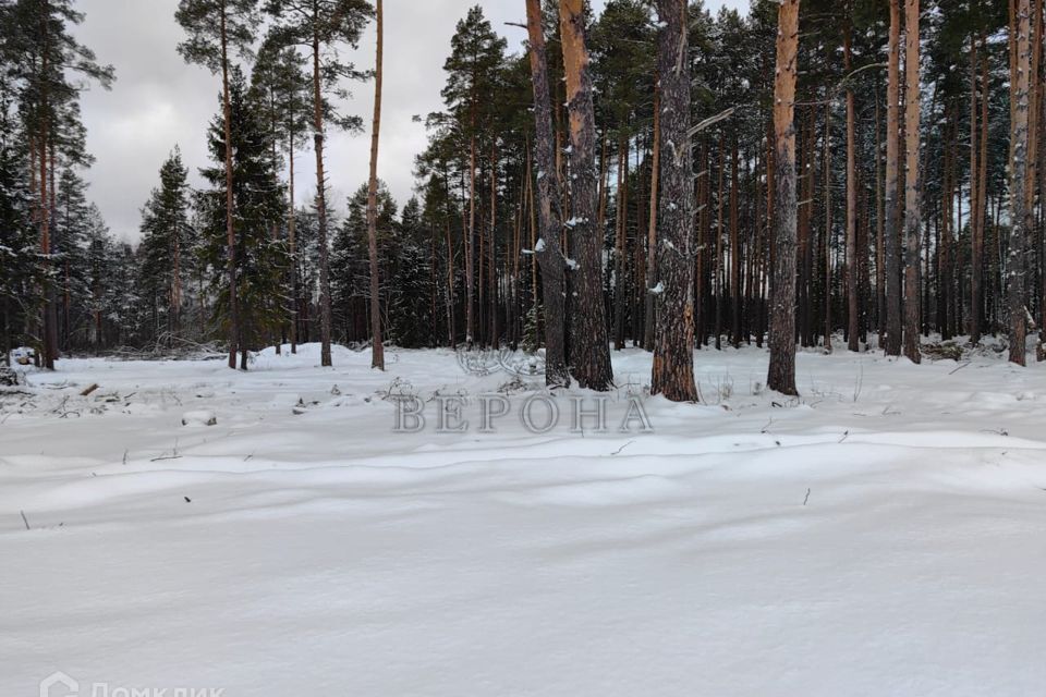 земля городской округ Богородский д. Пешково фото 1