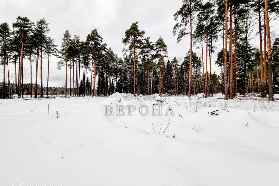 земля городской округ Богородский д. Пешково фото 1