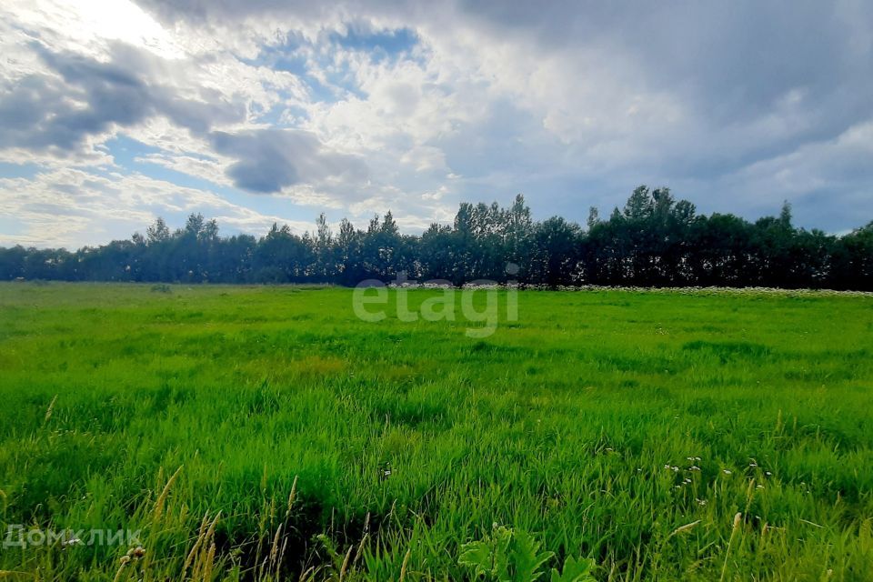 земля р-н Киришский д. Наволок фото 1