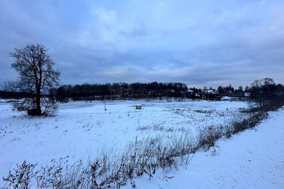 земля городской округ Домодедово д. Щеглятьево фото 3