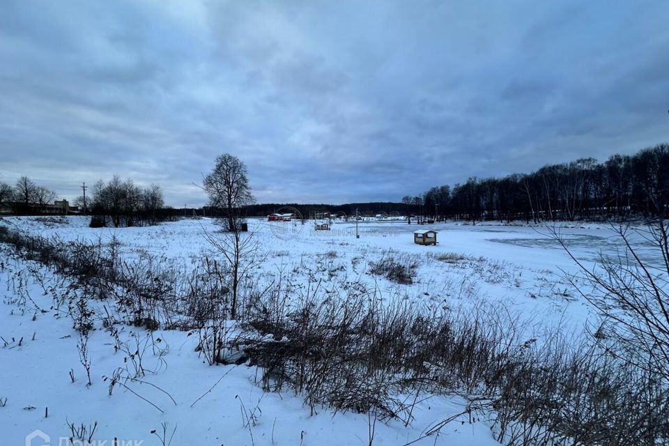 земля городской округ Домодедово д. Щеглятьево фото 4