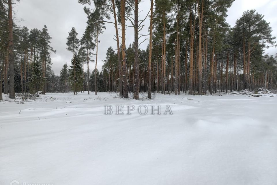 земля городской округ Богородский д. Пешково фото 2