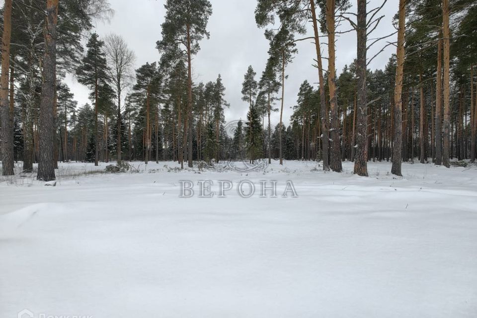 земля городской округ Богородский д. Пешково фото 4