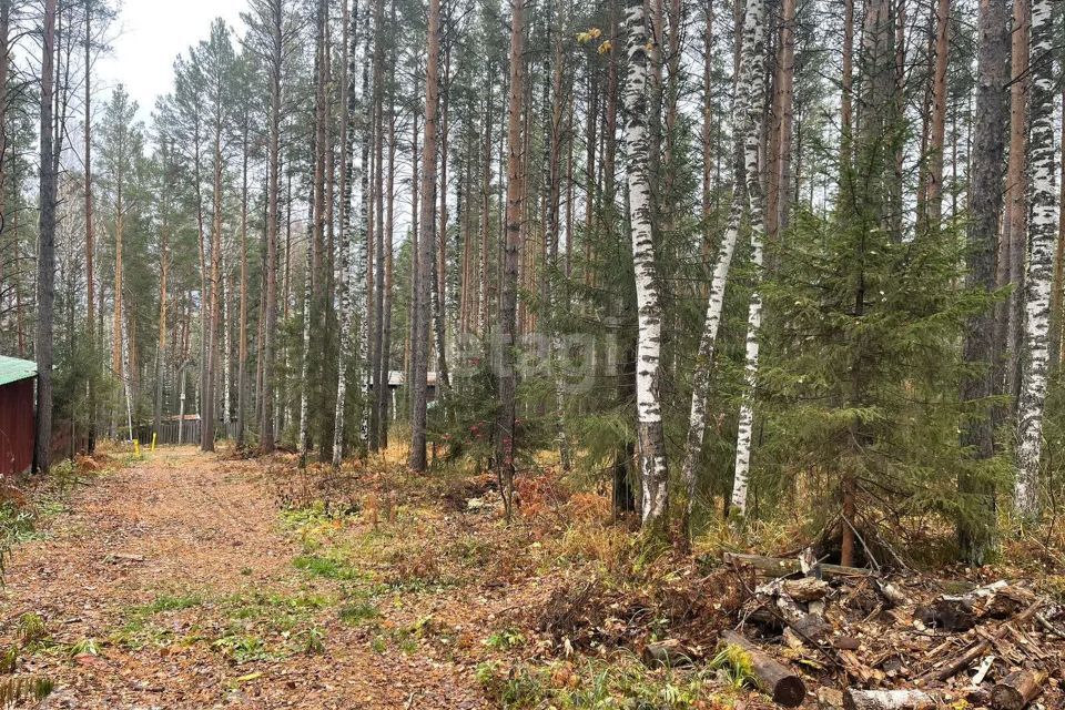 земля Дегтярск городской округ, Дегтярск фото 1