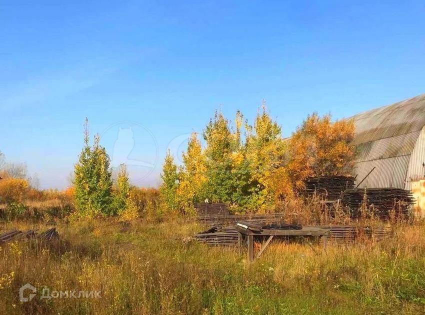 земля р-н Тюменский фото 2