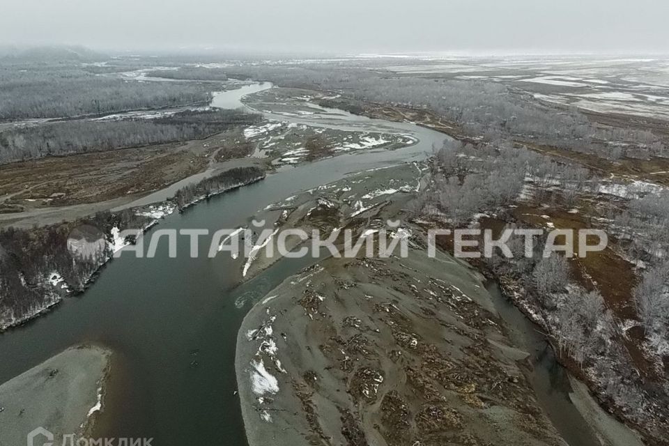 земля р-н Усть-Коксинский Октябрьское фото 1