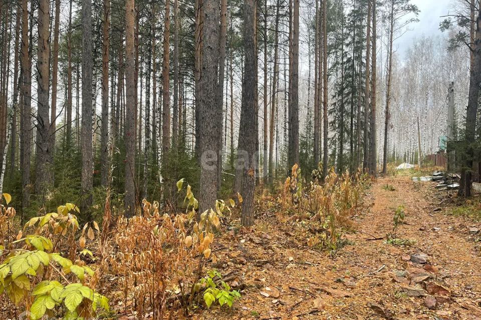 земля Дегтярск городской округ, Дегтярск фото 2