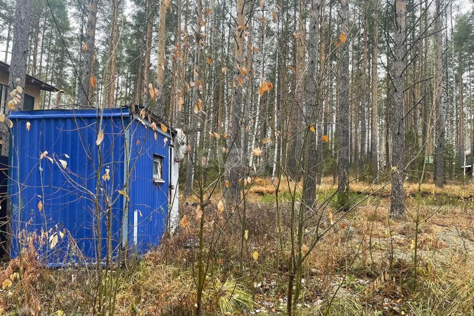 земля Дегтярск городской округ, Дегтярск фото 3