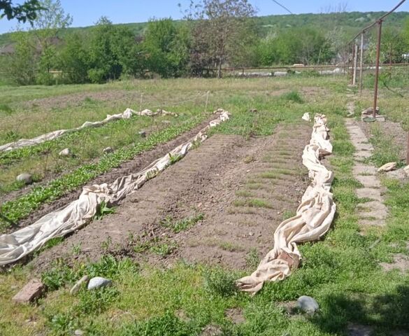 земля п Тимирязева ул Октябрьская 19 фото