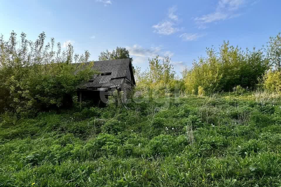 земля р-н Чаплыгинский Тупки фото 1