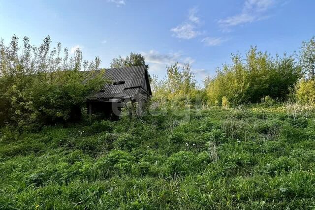 земля Тупки фото