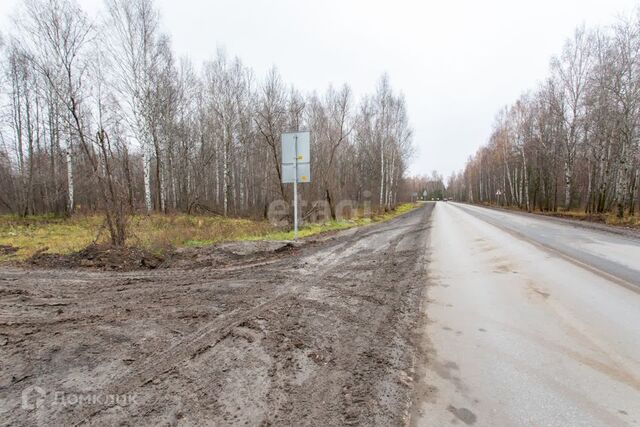 улица Центральная, 24, Тобольск городской округ фото