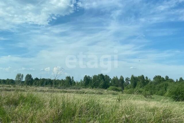 городской округ Сосновоборск, 12а микрорайон фото