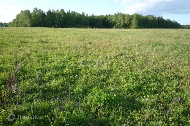 городской округ Сосновоборск, 12а микрорайон фото