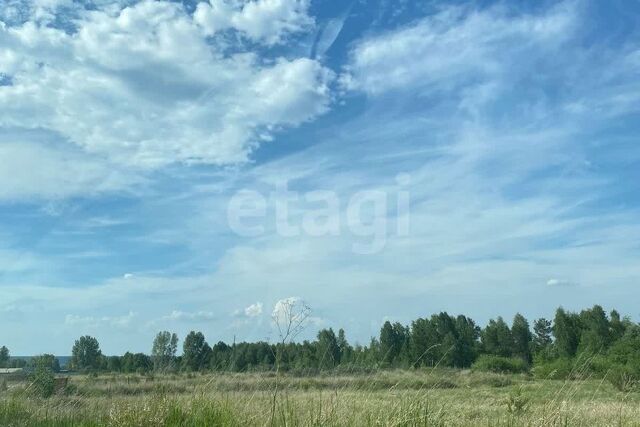 городской округ Сосновоборск, 12а микрорайон фото