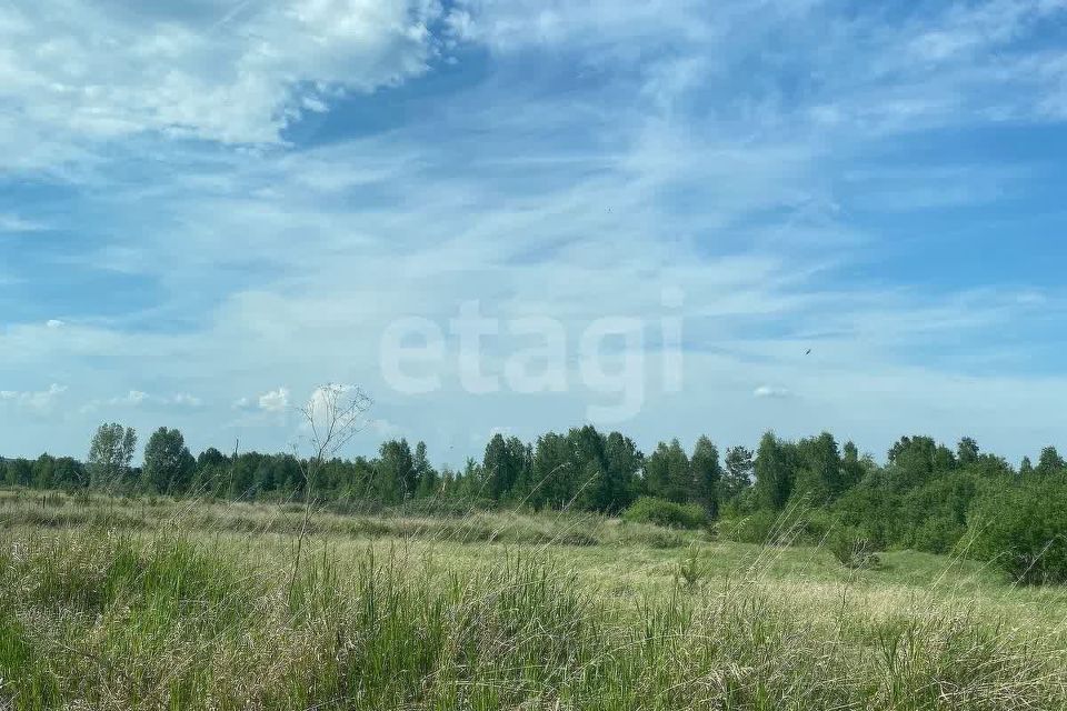 земля г Сосновоборск городской округ Сосновоборск, 12а микрорайон фото 1