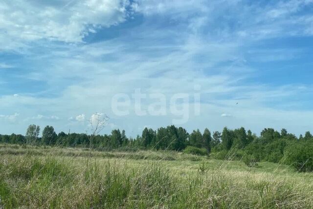 городской округ Сосновоборск, 12а микрорайон фото