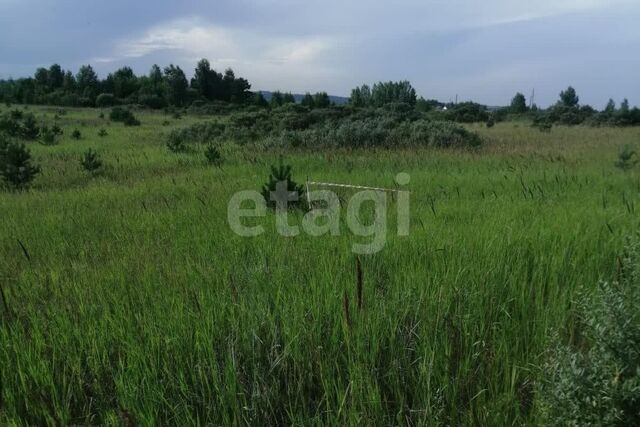 городской округ Сосновоборск, 12а микрорайон фото