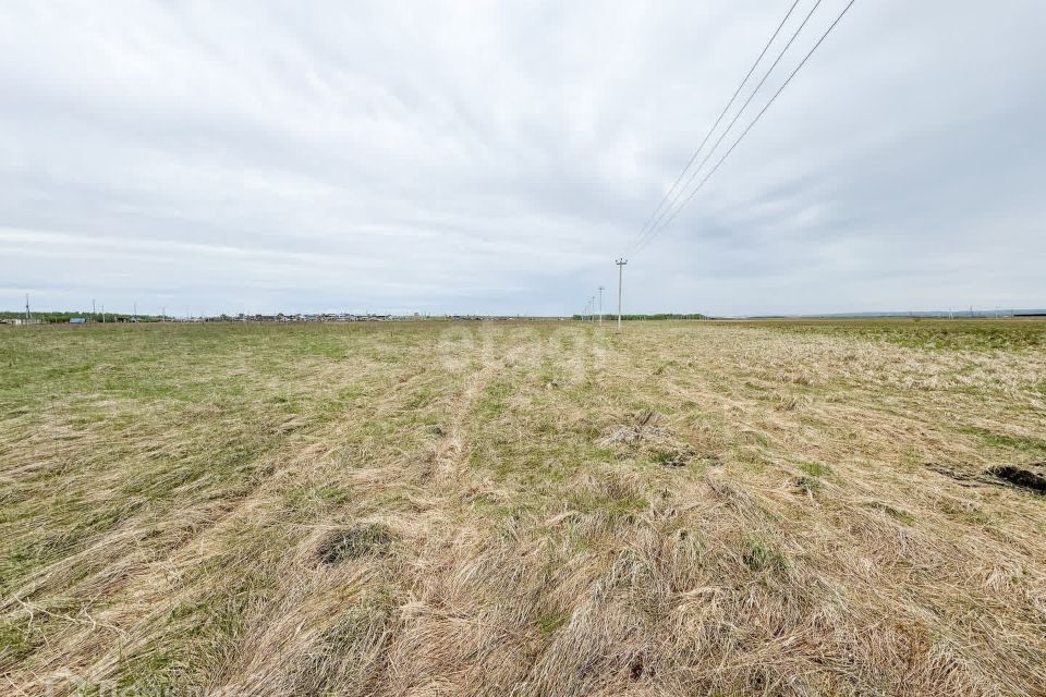 земля г Сосновоборск городской округ Сосновоборск, 12а микрорайон фото 1