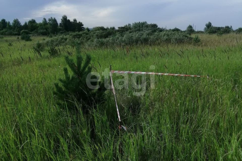 земля г Сосновоборск городской округ Сосновоборск, 12а микрорайон фото 1