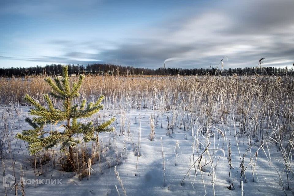 земля р-н Березовский фото 1