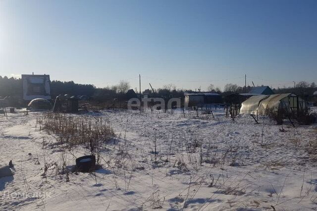 ЗАТО Железногорск городской округ, СТ 40 фото