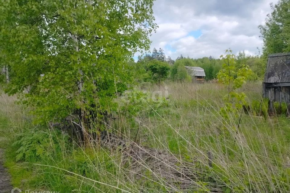 земля ЗАТО Железногорск городской округ, СТ Рассвет фото 1