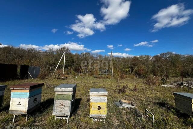 дом 9 муниципальное образование Новороссийск фото