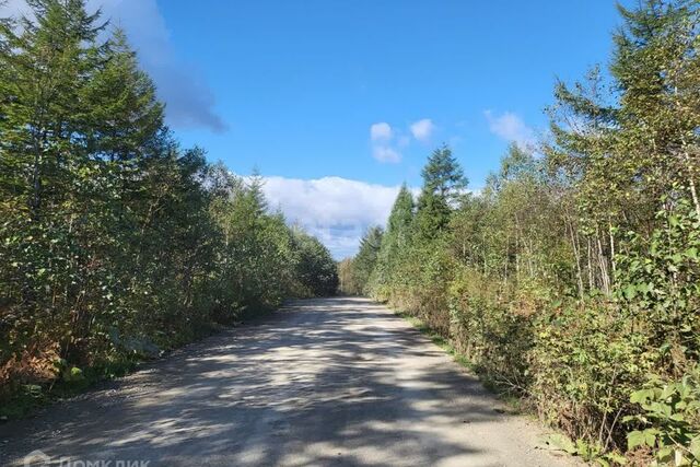 Южно-Сахалинск городской округ, СНТ Берёзовая роща фото