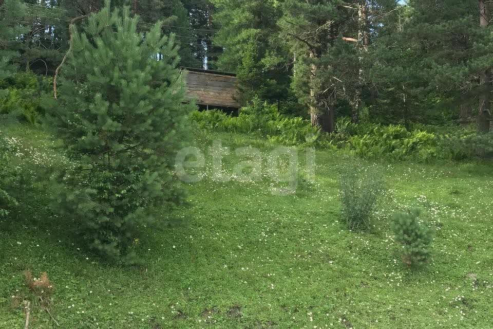 земля р-н Турочакский с Артыбаш Административное здание фото 1