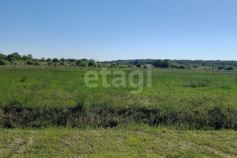 земля г Калининград Калининград городской округ, СТ Мелиоратор фото 1