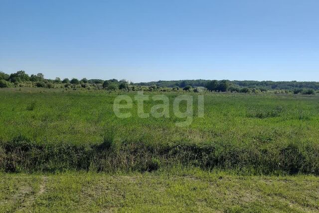 земля Калининград городской округ, СТ Мелиоратор фото