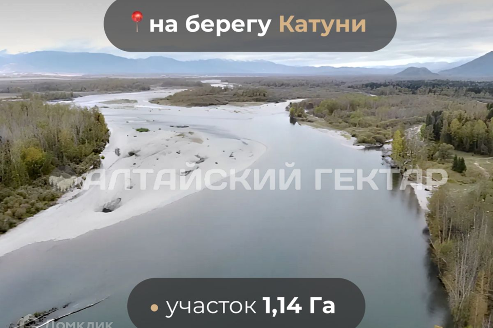 земля р-н Усть-Коксинский Октябрьское фото 2