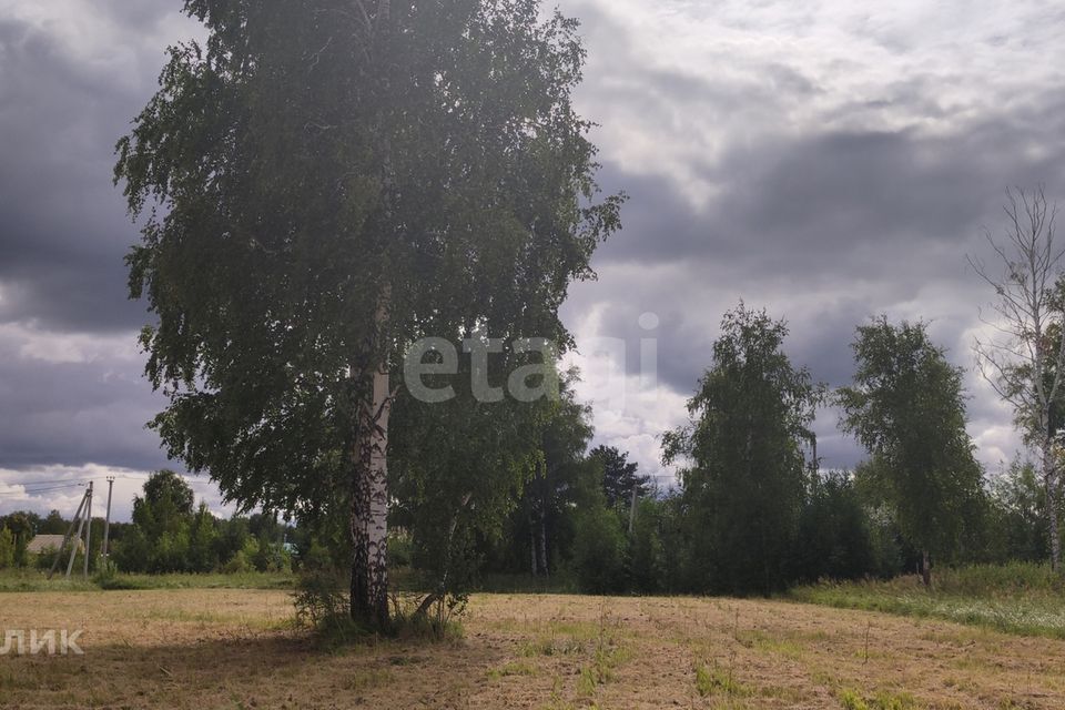 земля г Тюмень Тюмень городской округ, СО Зелёный бор фото 2