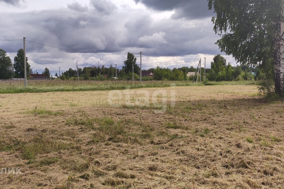 земля г Тюмень Тюмень городской округ, СО Зелёный бор фото 3