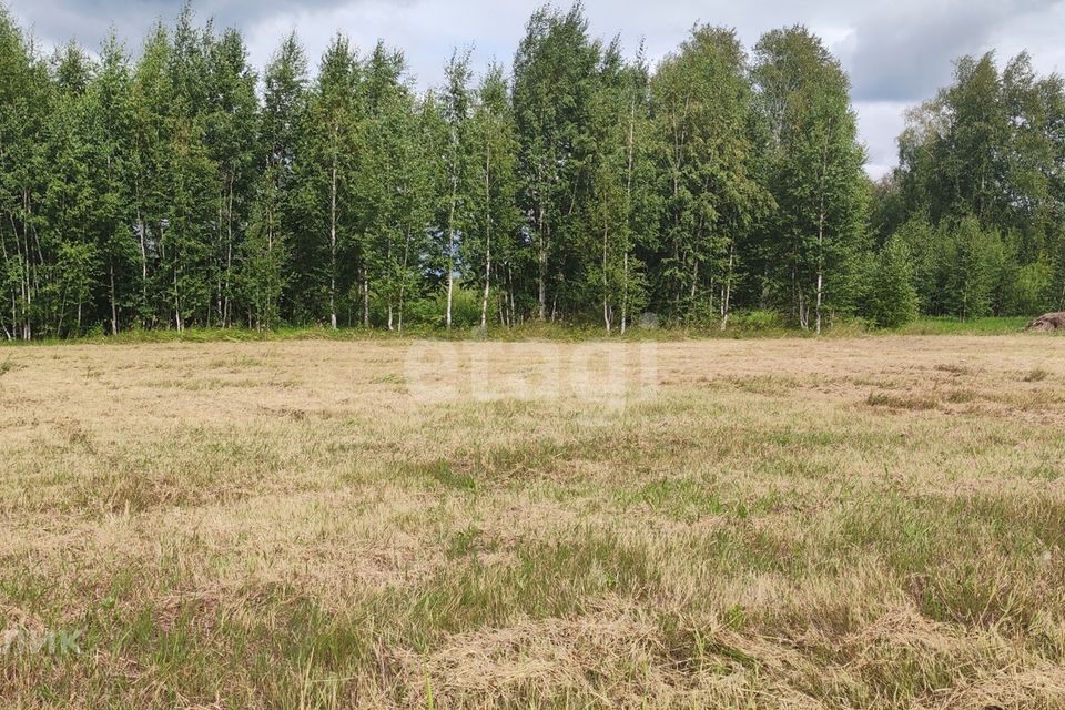 земля г Тюмень Тюмень городской округ, СО Зелёный бор фото 4