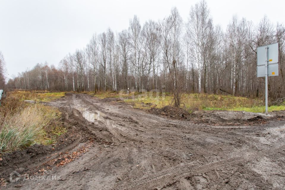 земля г Тобольск улица Центральная, 24, Тобольск городской округ фото 2