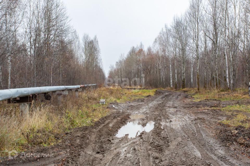 земля г Тобольск улица Центральная, 24, Тобольск городской округ фото 4