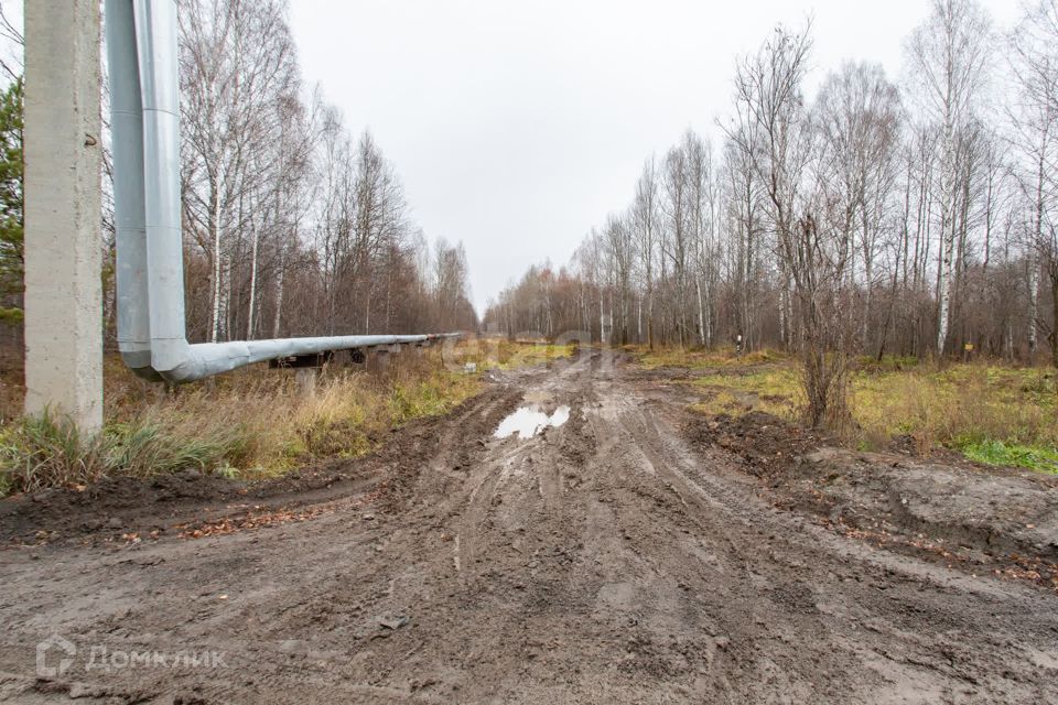 земля г Тобольск улица Центральная, 24, Тобольск городской округ фото 3