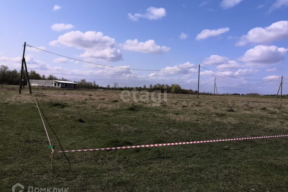 земля р-н Березовский ДНТ Есаульский бор пос. Ермолаевский Затон фото 4