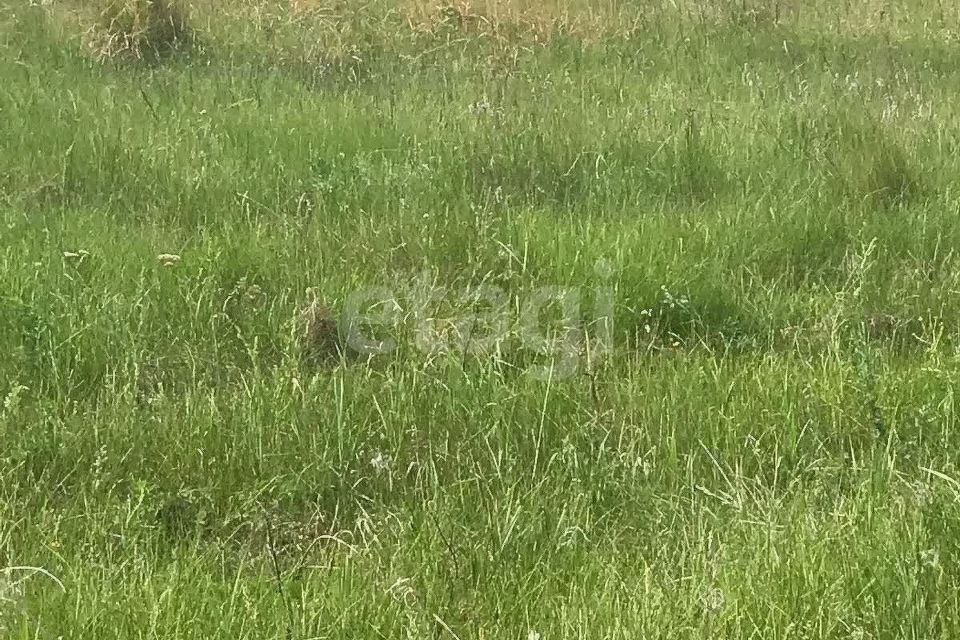 земля г Сосновоборск городской округ Сосновоборск, 12а микрорайон фото 4