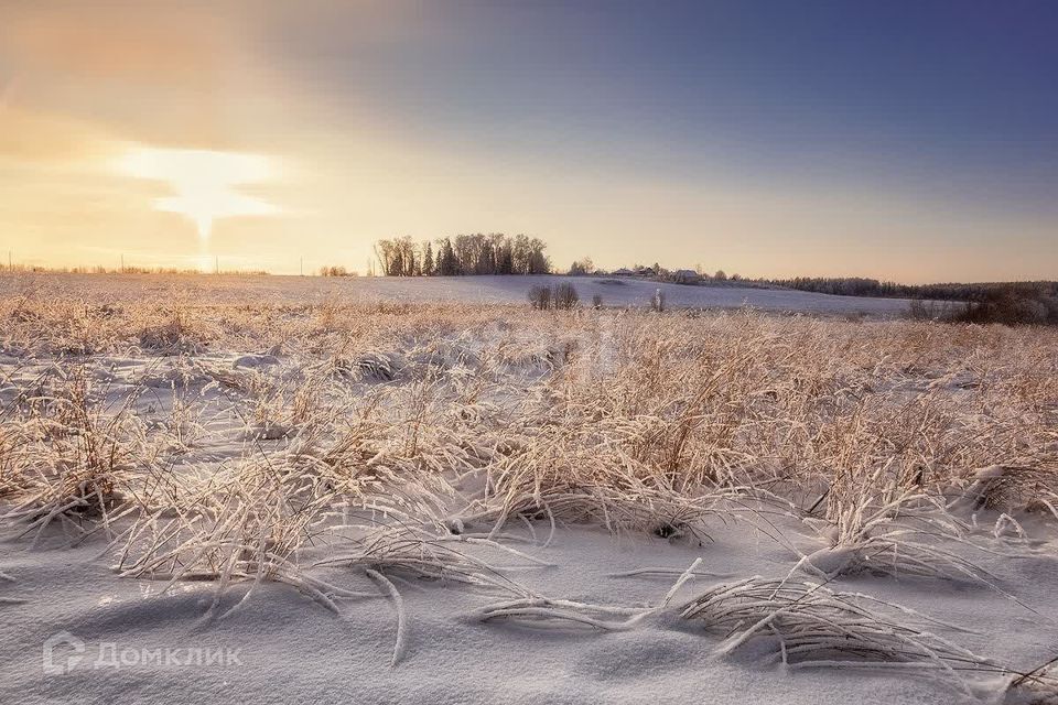 земля р-н Березовский фото 2