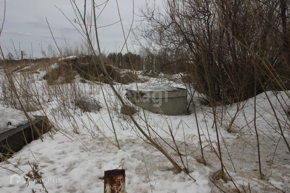 земля ЗАТО Железногорск городской округ, СТ №52, Средняя, 52 фото 4