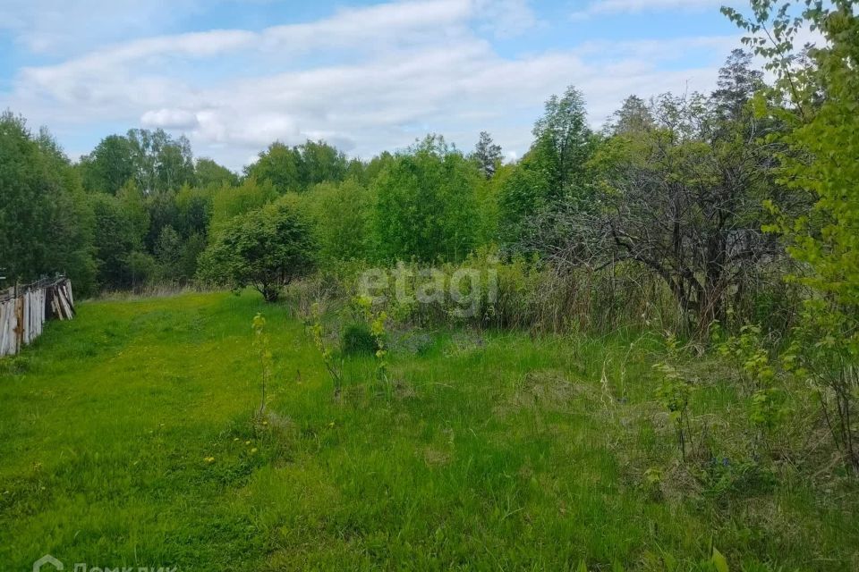 земля ЗАТО Железногорск городской округ, СТ Рассвет фото 2