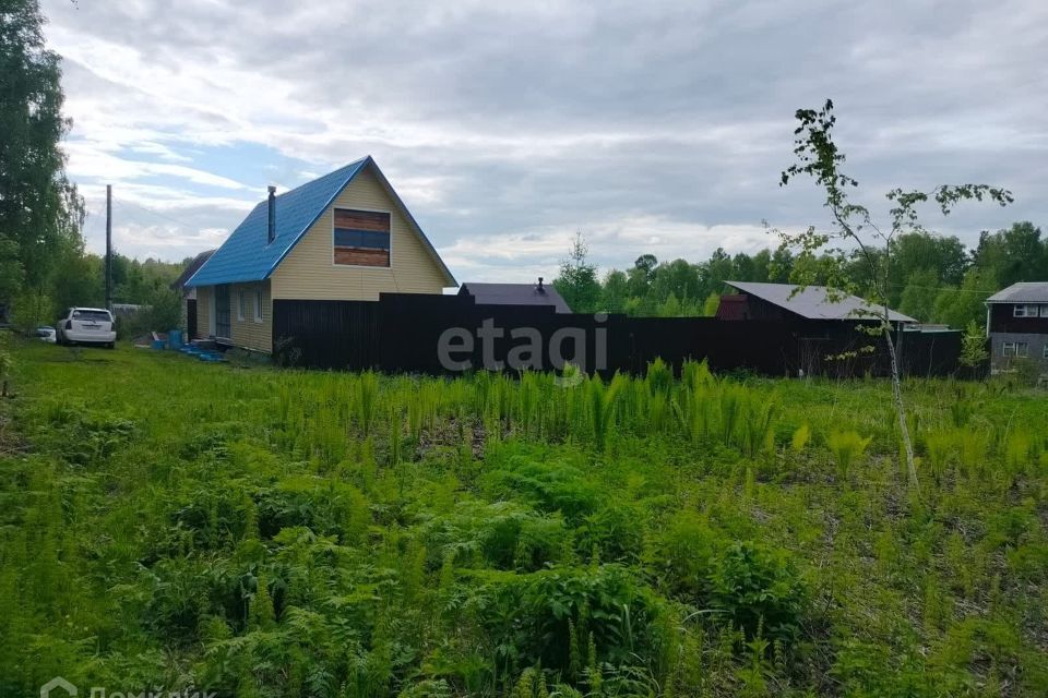 земля ЗАТО Железногорск городской округ, СТ Рассвет фото 4