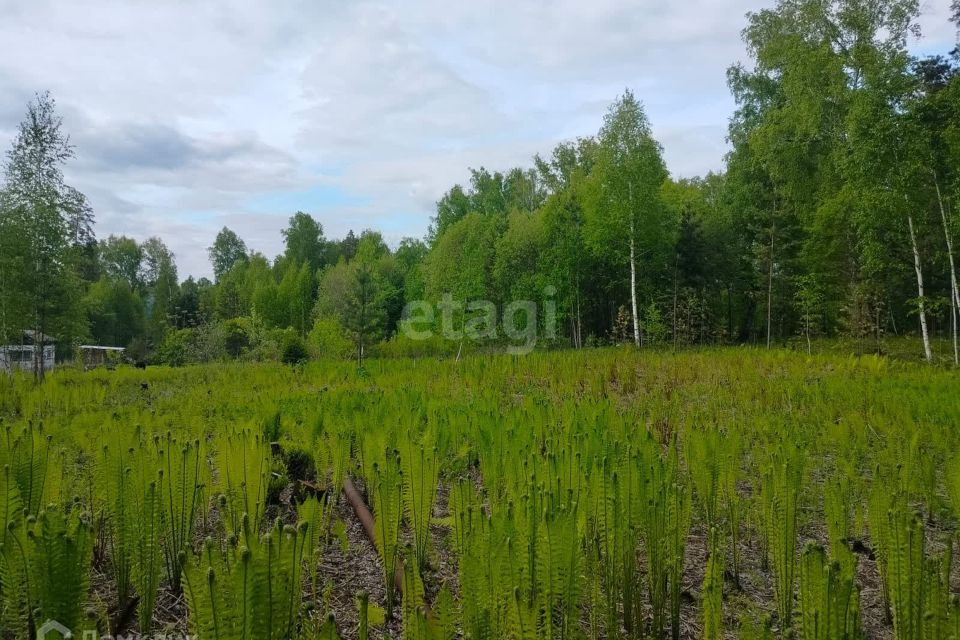 земля ЗАТО Железногорск городской округ, СТ Рассвет фото 2